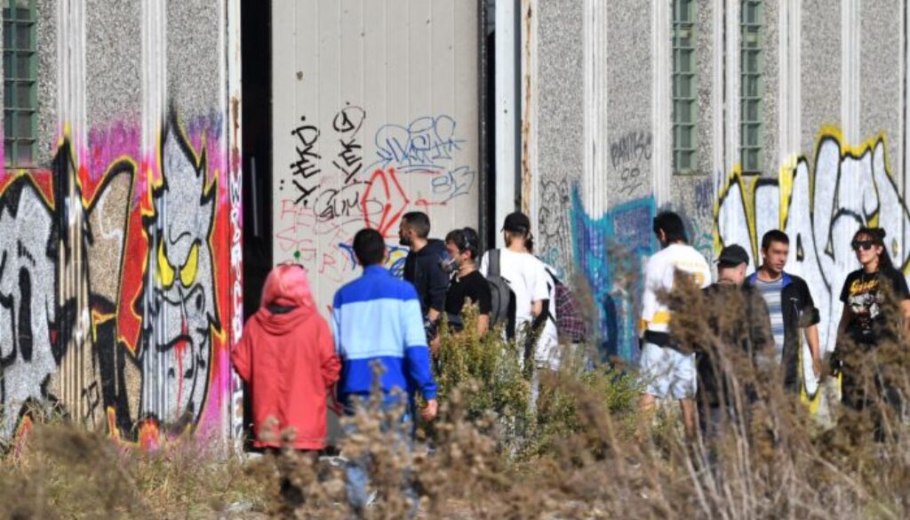 20189444_medium.jpg 20189444_medium.jpg