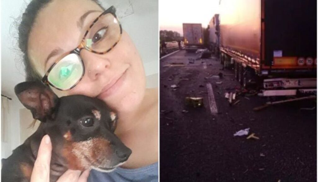 incidente-cane-tir.jpg