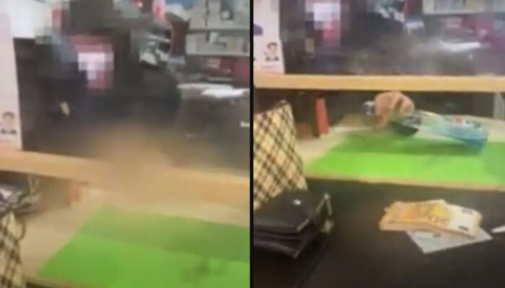 vetril-commessa-lecce.jpg vetril-commessa-lecce.jpg