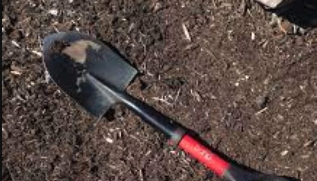 Schermata-2023-02-13-alle-15.53.27.jpg Schermata-2023-02-13-alle-15.53.27.jpg