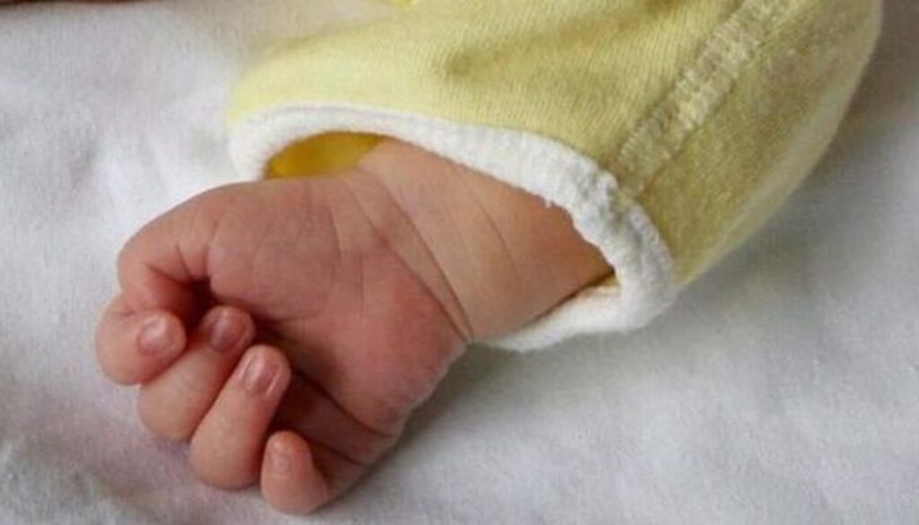 5257436_1927_neonato.jpg 5257436_1927_neonato.jpg