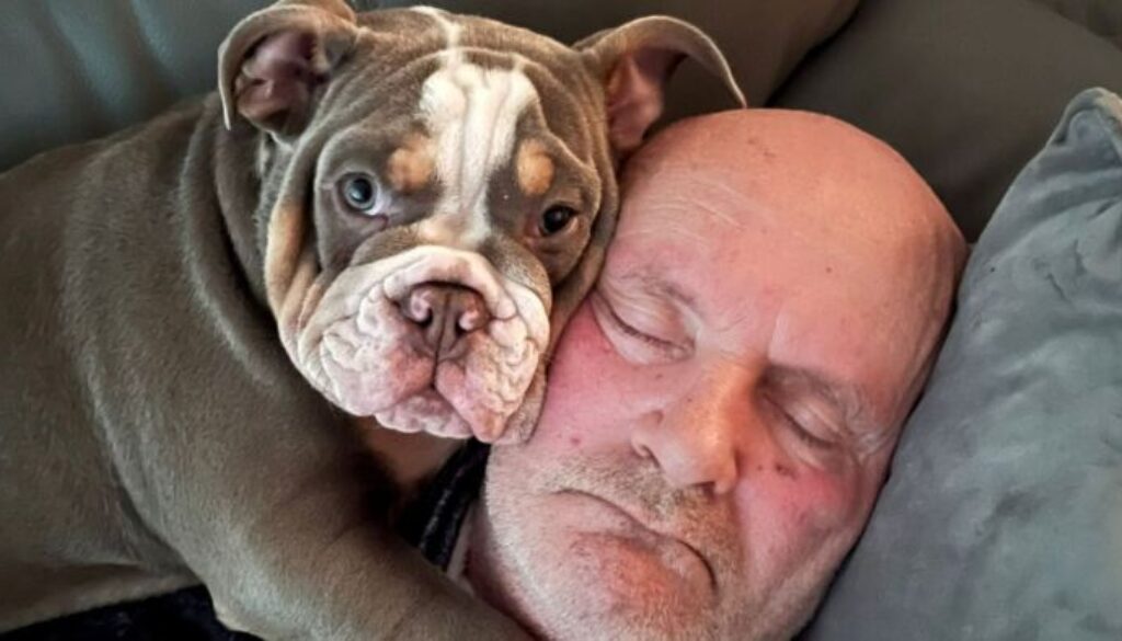 skynews-dog-toe-bulldog-puppy_6126628.jpg skynews-dog-toe-bulldog-puppy_6126628.jpg