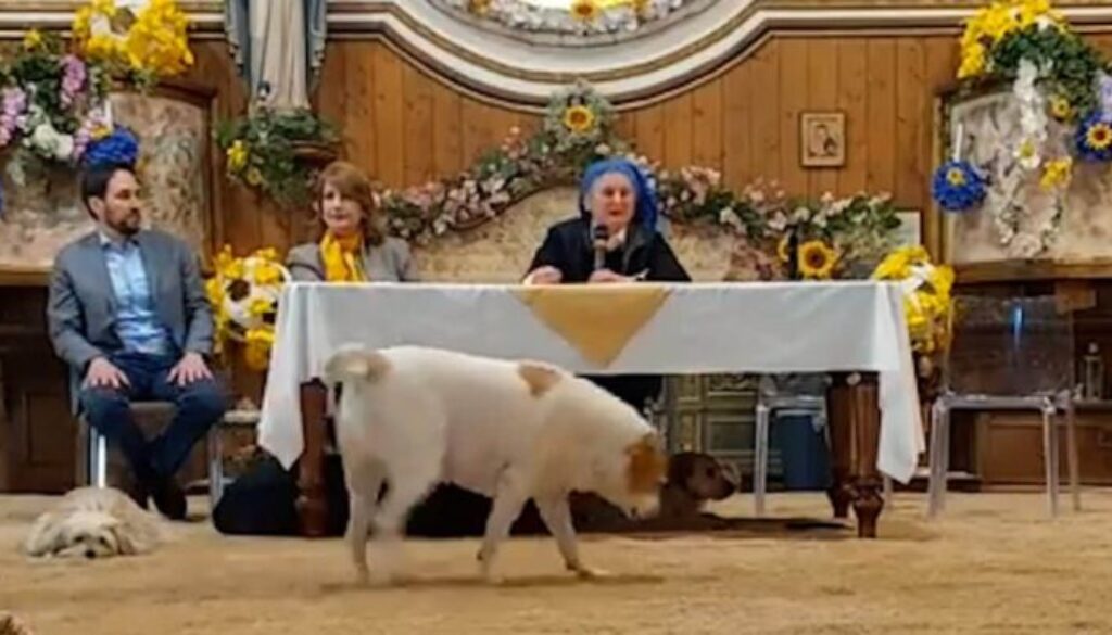 suor666.jpg