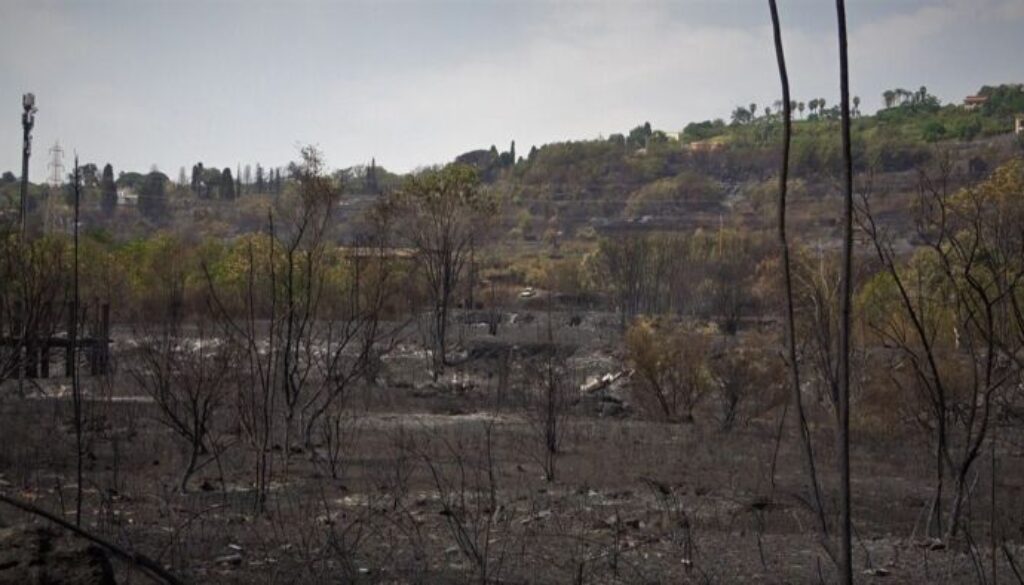 sicilia-brucia_incendi.jpg