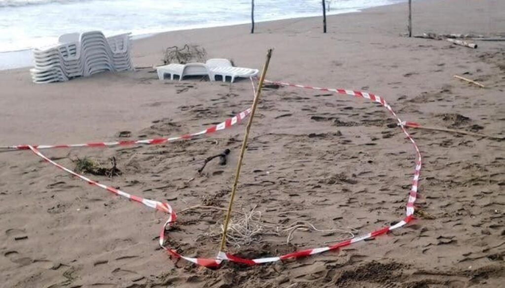 cadavere-spiaggia-1.jpg