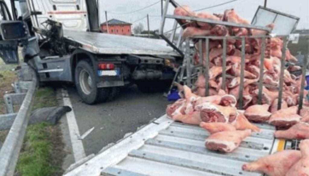 prosciutti-in-strada-dopo-incidente.jpg