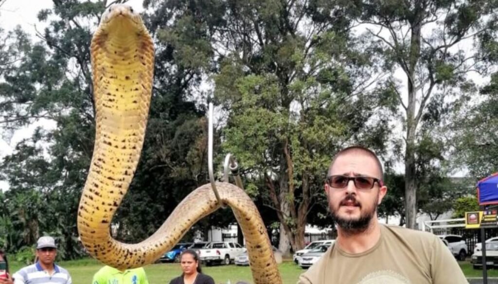 marco-sudafrica-serpente.jpg