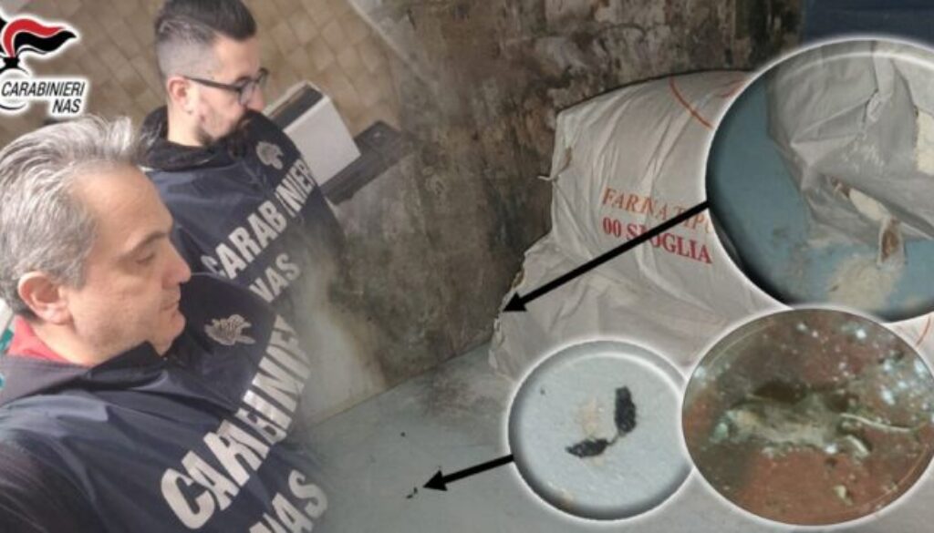 carabinieri-nas-bologna-topi-cucina.jpg